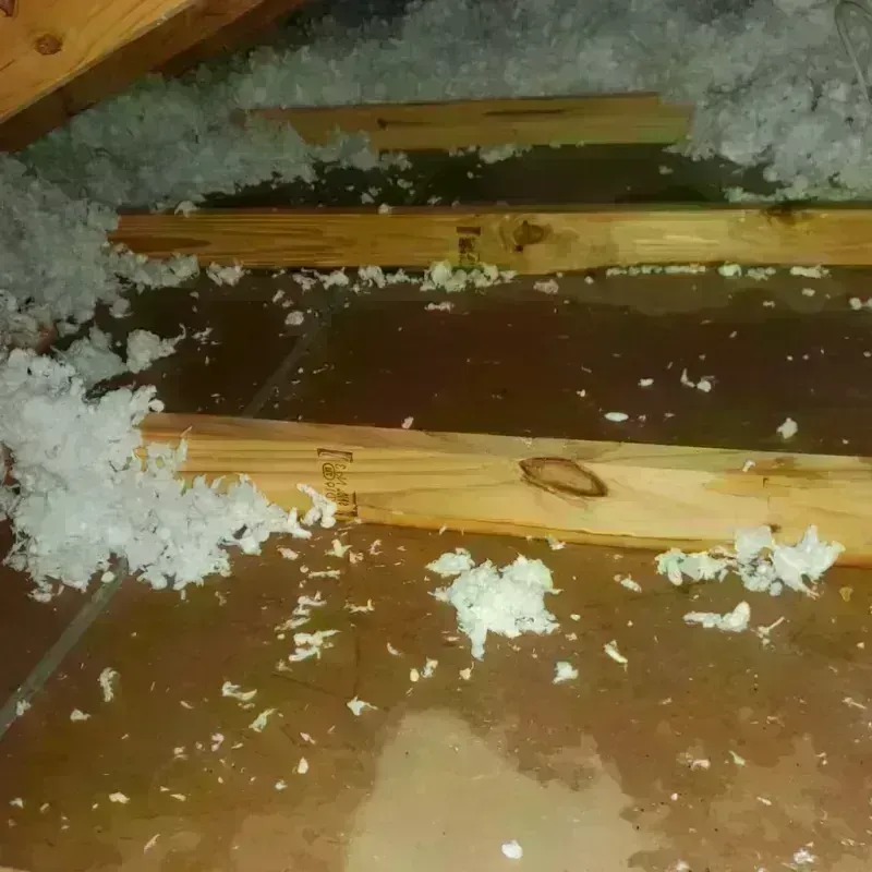 Attic Water Damage in Mountain Home, AR