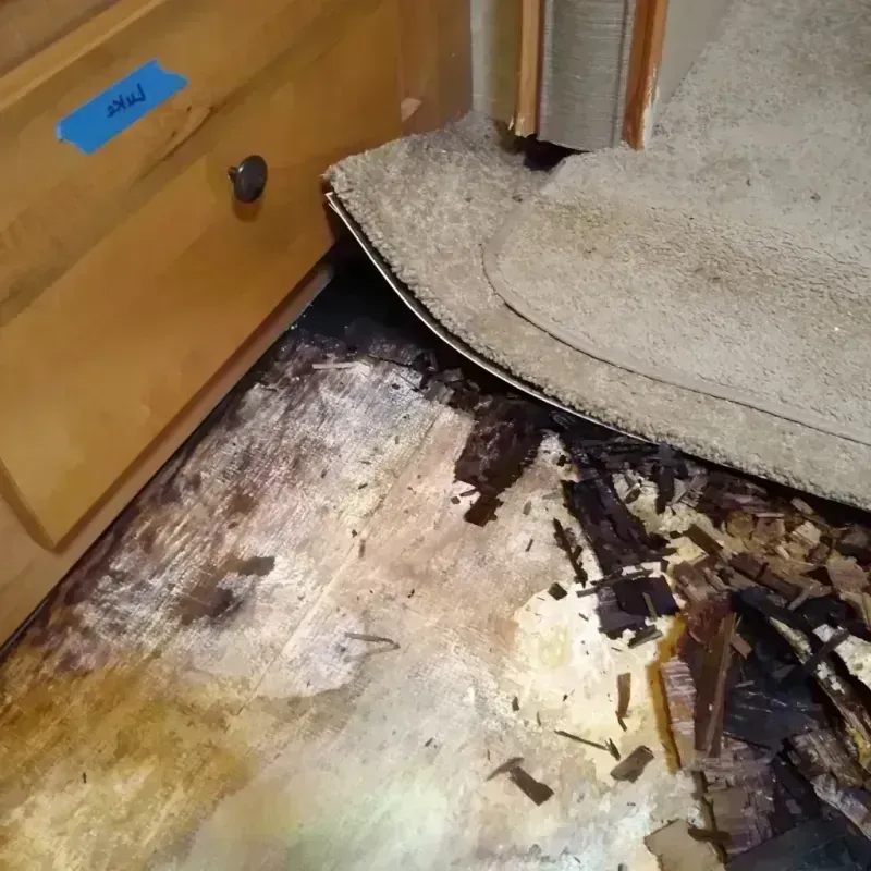 Wood Floor Water Damage in Mountain Home, AR